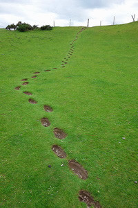 Donnelly'S Footsteps In The Curragh Kildare.