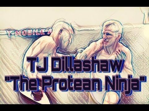 Tj Dillashaw Protein Ninja.