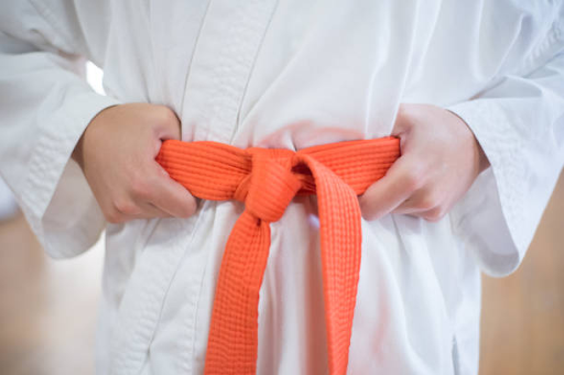 Martial Arts Belt Colors